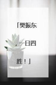 樊振东，一日四胜！
