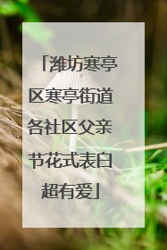 潍坊寒亭区寒亭街道各社区父亲节花式表白超有爱