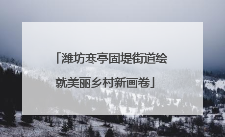 潍坊寒亭固堤街道绘就美丽乡村新画卷