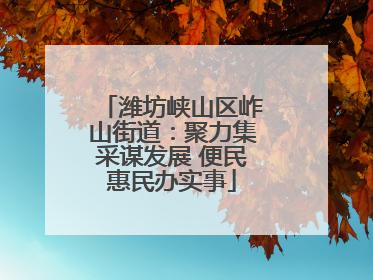 潍坊峡山区岞山街道：聚力集采谋发展 便民惠民办实事