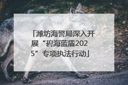潍坊海警局深入开展“碧海蓝盾2025”专项执法行动