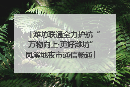 潍坊联通全力护航“万物向上·更好潍坊”凤溪地夜市通信畅通