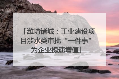 潍坊诸城：工业建设项目涉水类审批“一件事” 为企业提速增值