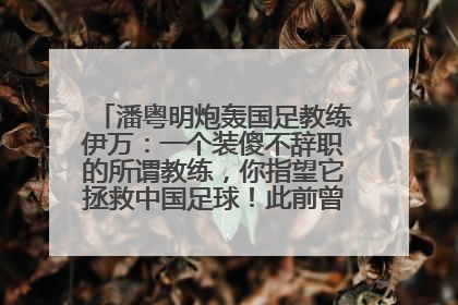 潘粤明炮轰国足教练伊万：一个装傻不辞职的所谓教练，你指望它拯救中国足球！此前曾多次发文评价国足