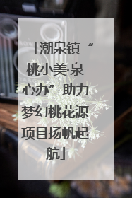 潮泉镇“桃小美·泉心办”助力梦幻桃花源项目扬帆起航