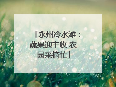 永州冷水滩：蔬果迎丰收 农园采摘忙
