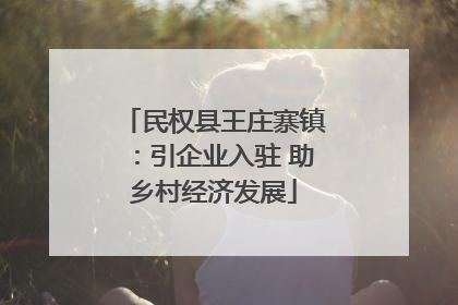 民权县王庄寨镇：引企业入驻 助乡村经济发展