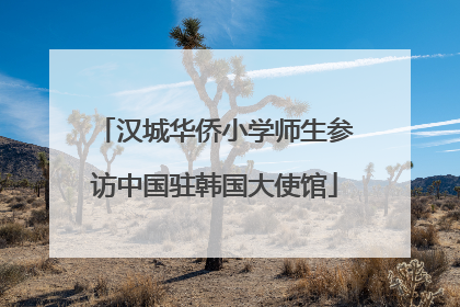 汉城华侨小学师生参访中国驻韩国大使馆