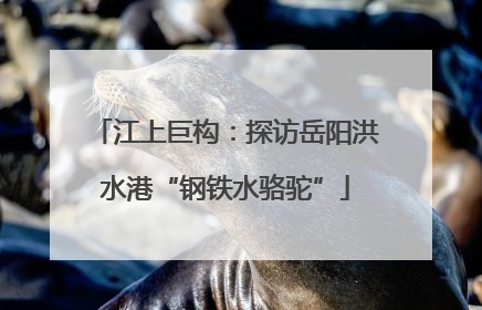 江上巨构：探访岳阳洪水港“钢铁水骆驼”