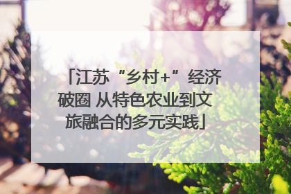 江苏“乡村+”经济破圈 从特色农业到文旅融合的多元实践