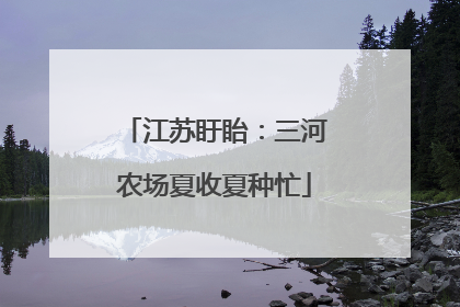 江苏盱眙：三河农场夏收夏种忙
