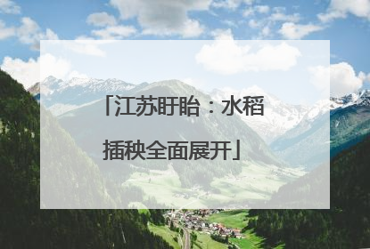 江苏盱眙：水稻插秧全面展开