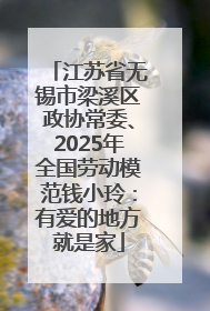 江苏省无锡市梁溪区政协常委、2025年全国劳动模范钱小玲：有爱的地方就是家