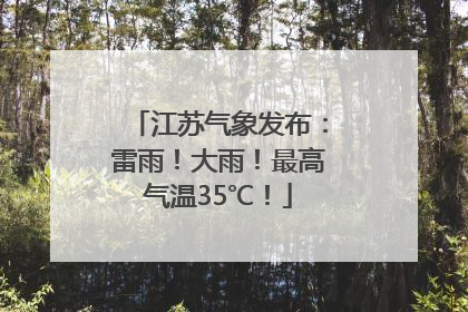 江苏气象发布：雷雨！大雨！最高气温35℃！