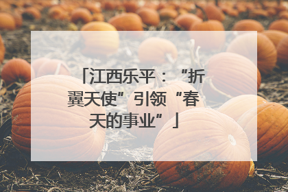 江西乐平：“折翼天使”引领“春天的事业”