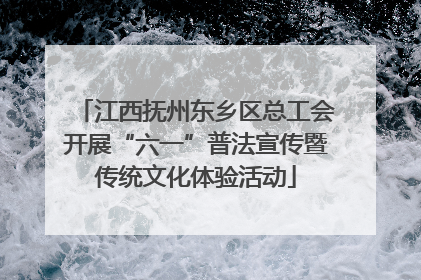 江西抚州东乡区总工会开展“六一”普法宣传暨传统文化体验活动