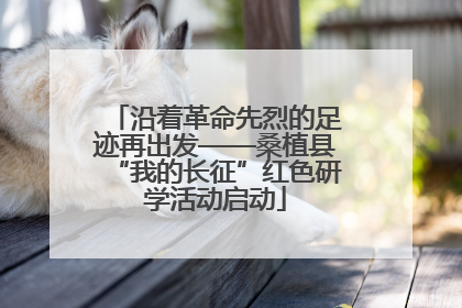 沿着革命先烈的足迹再出发——桑植县“我的长征”红色研学活动启动
