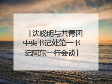 沈晓明与共青团中央书记处第一书记阿东一行会谈