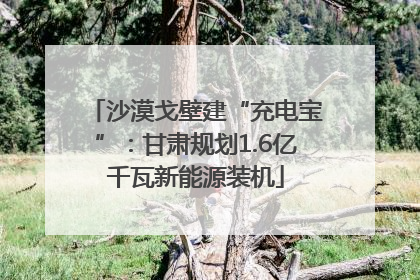 沙漠戈壁建“充电宝”：甘肃规划1.6亿千瓦新能源装机