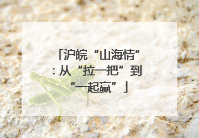 沪皖“山海情”：从“拉一把”到“一起赢”