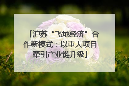 沪苏“飞地经济”合作新模式：以重大项目牵引产业链升级