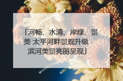 河畅、水清、岸绿、景美 太平河畔景观升级 滨河美景亮丽呈现