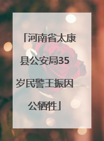 河南省太康县公安局35岁民警王振因公牺牲