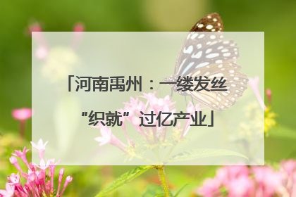 河南禹州：一缕发丝“织就”过亿产业