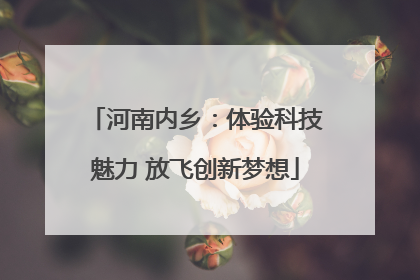 河南内乡：体验科技魅力 放飞创新梦想