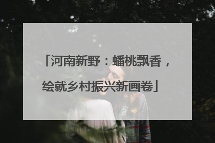 河南新野：蟠桃飘香，绘就乡村振兴新画卷
