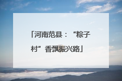 河南范县：“粽子村”香飘振兴路