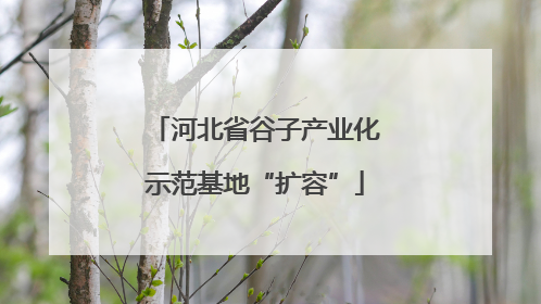 河北省谷子产业化示范基地“扩容”