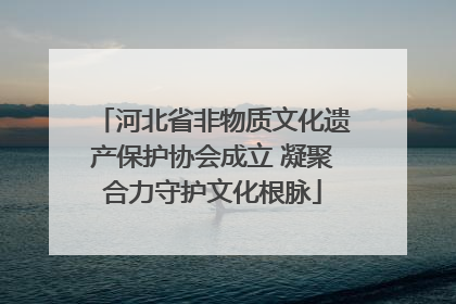 河北省非物质文化遗产保护协会成立 凝聚合力守护文化根脉
