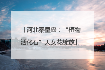河北秦皇岛：“植物活化石”天女花绽放