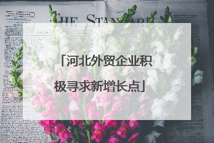 河北外贸企业积极寻求新增长点