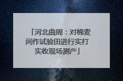 河北曲周：对棉麦间作试验田进行实打实收现场测产