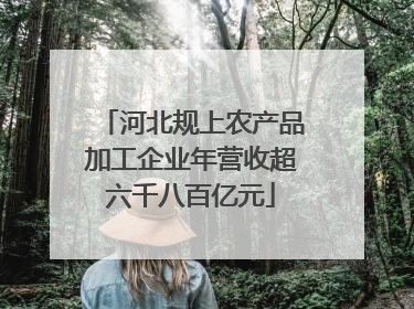 河北规上农产品加工企业年营收超六千八百亿元