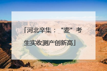 河北辛集：“麦”考生实收测产创新高