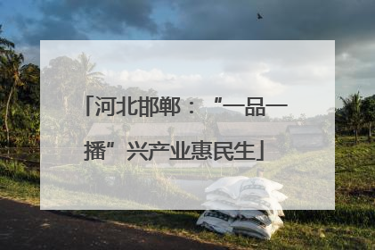 河北邯郸：“一品一播”兴产业惠民生