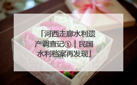 河西走廊水利遗产调查记①｜民国水利档案再发现