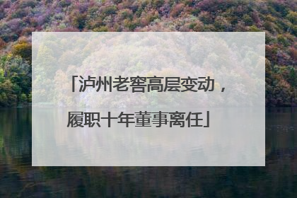 泸州老窖高层变动，履职十年董事离任