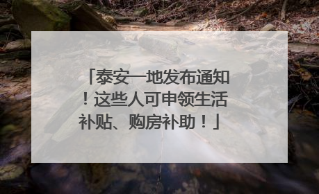泰安一地发布通知！这些人可申领生活补贴、购房补助！