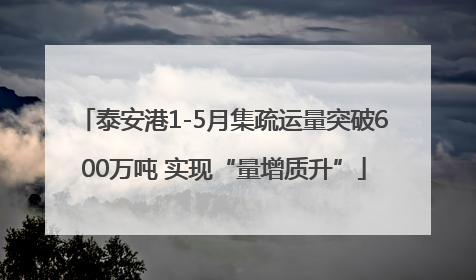 泰安港1-5月集疏运量突破600万吨 实现“量增质升”