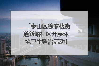 泰山区徐家楼街道新峪社区开展环境卫生整治活动