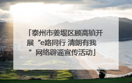 泰州市姜堰区顾高镇开展“e路同行 清朗有我”网络辟谣宣传活动