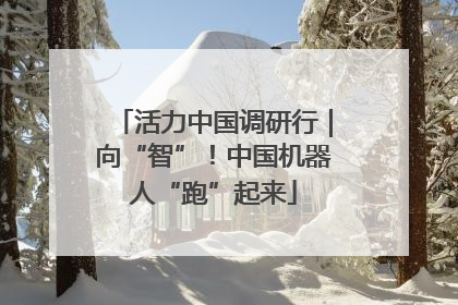 活力中国调研行｜向“智”！中国机器人“跑”起来