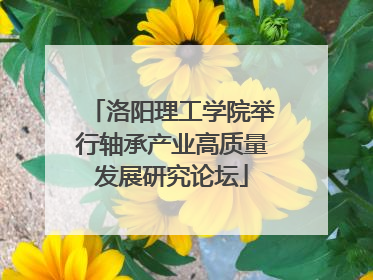 洛阳理工学院举行轴承产业高质量发展研究论坛
