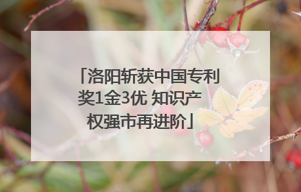 洛阳斩获中国专利奖1金3优 知识产权强市再进阶