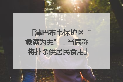 津巴布韦保护区“象满为患”，当局称将扑杀供居民食用