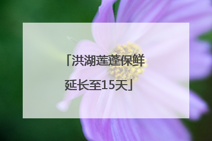 洪湖莲蓬保鲜延长至15天